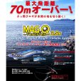 画像15: DUEL ヨーヅリ 3.0号(16g) マグQ タングステン 3号 A1817 システムカラー デュエル アオリイカ エギングルアー 餌木 (2024年新製品)