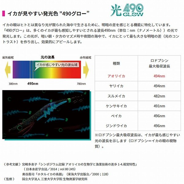 エギオー エギングルアー 餌木 エギ王 LIVEサーチ 3.5号 3.0号 2.5号